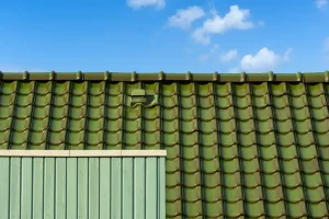 Skillnaden mellan tegel-, plåt- och papptak – vilket tak passar ditt hus?